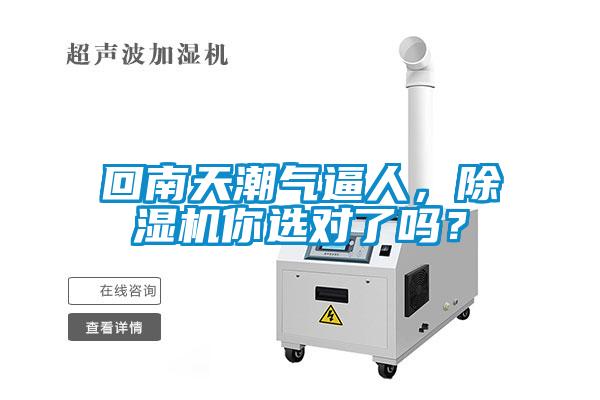 回南天潮氣逼人，除濕機你選對了嗎？