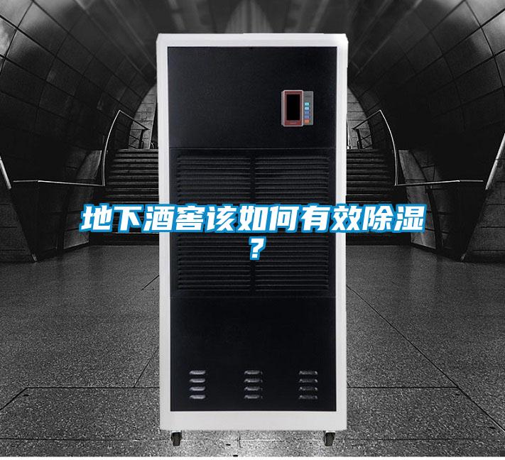 地下酒窖該如何有效除濕？