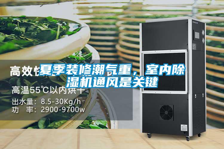 夏季裝修潮氣重，室內除濕機通風是關鍵
