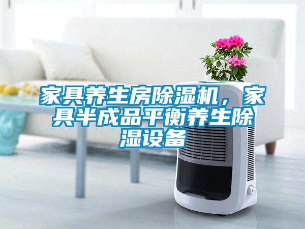 家具養生房除濕機，家具半成品平衡養生除濕設備
