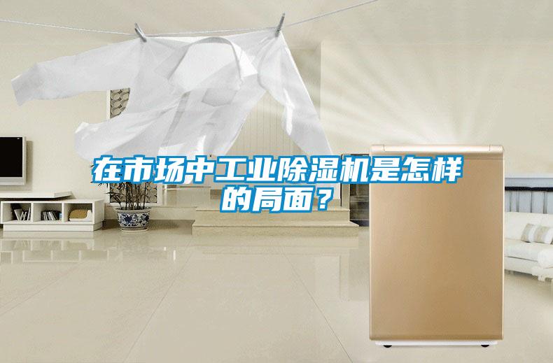 在市場中工業除濕機是怎樣的局面？