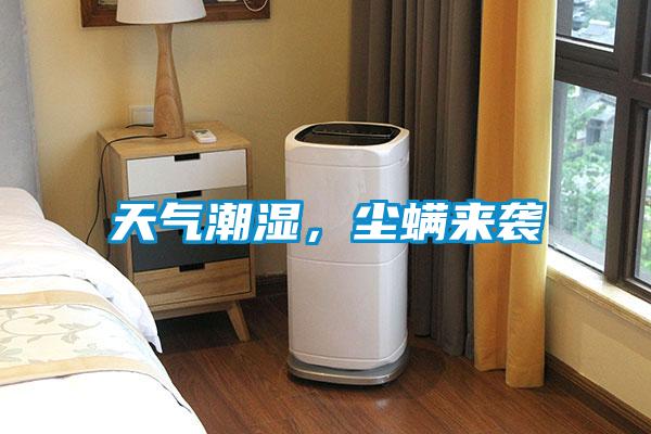 天氣潮濕，塵螨來襲