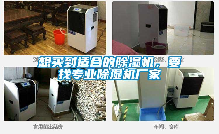 想買到適合的除濕機，要找專業除濕機廠家