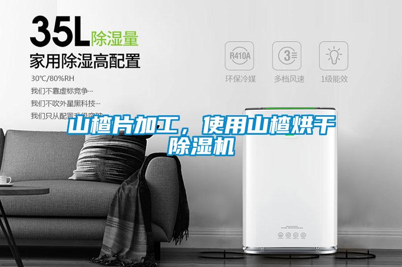 山楂片加工，使用山楂烘干除濕機