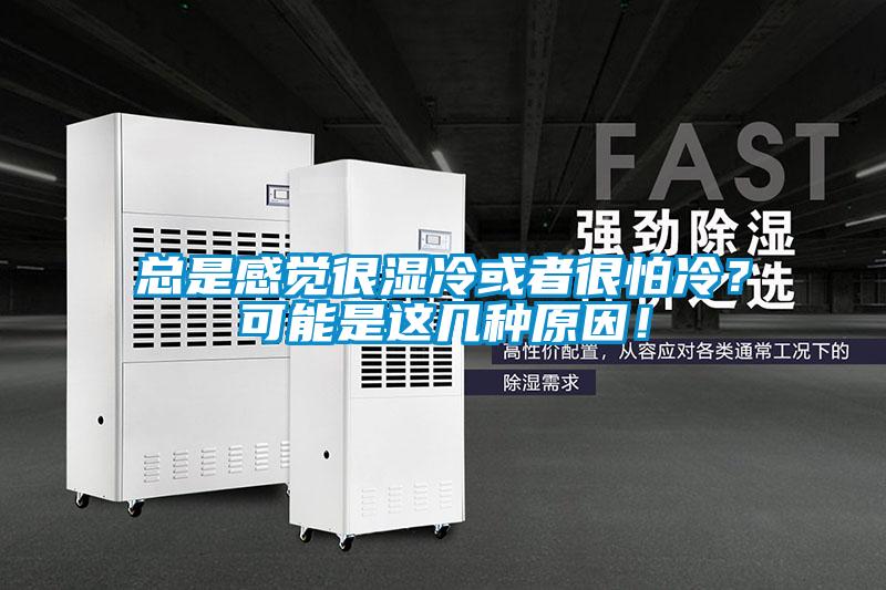 總是感覺很濕冷或者很怕冷？可能是這幾種原因！