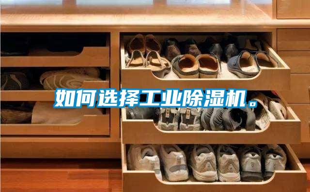如何選擇工業除濕機。