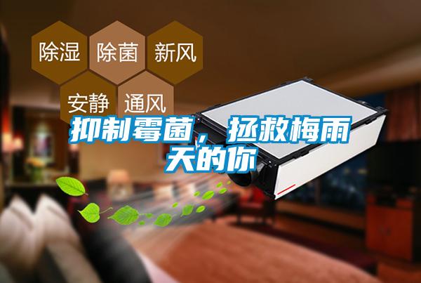 抑制霉菌，拯救梅雨天的你
