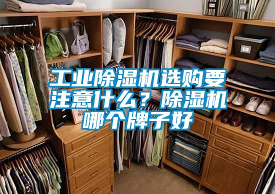 工業除濕機選購要注意什么？除濕機哪個牌子好