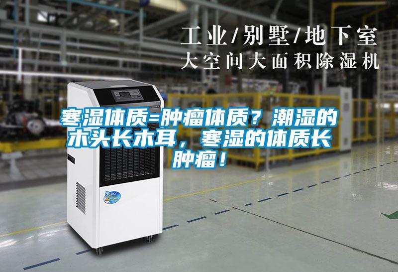 寒濕體質=腫瘤體質？潮濕的木頭長木耳，寒濕的體質長腫瘤！