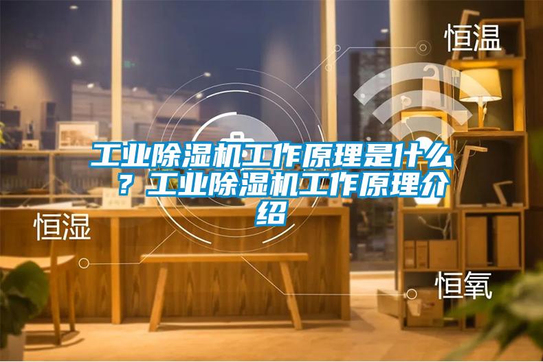 工業除濕機工作原理是什么 ？工業除濕機工作原理介紹