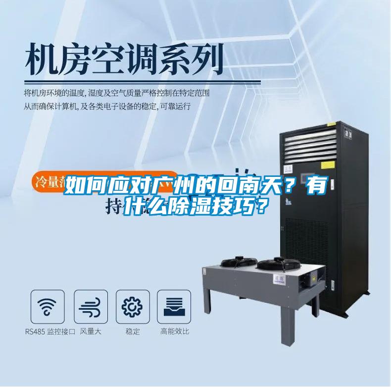 如何應對廣州的回南天？有什么除濕技巧？