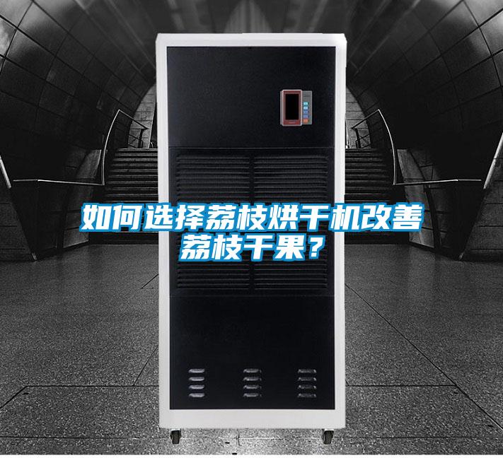 如何選擇荔枝烘干機改善荔枝干果？