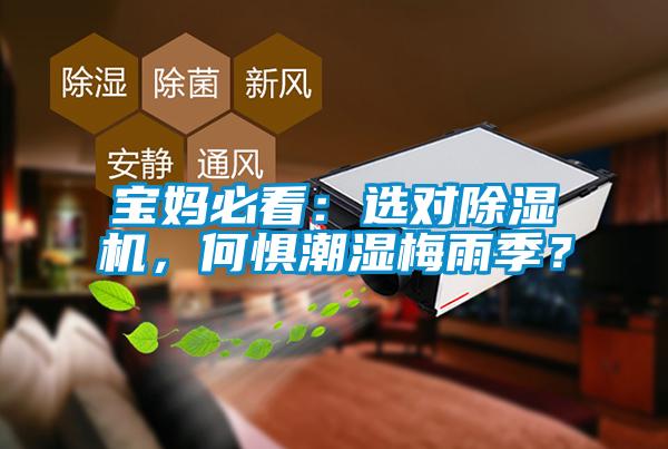 寶媽必看：選對除濕機，何懼潮濕梅雨季？