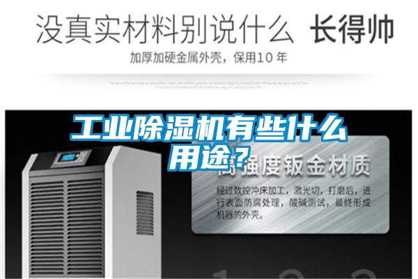 工業除濕機有些什么用途？