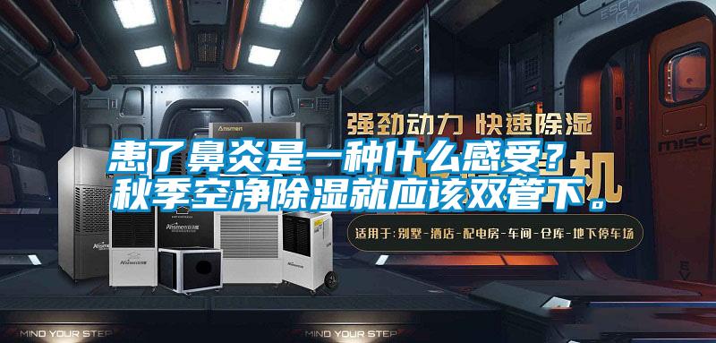 患了鼻炎是一種什么感受？ 秋季空凈除濕就應該雙管下。