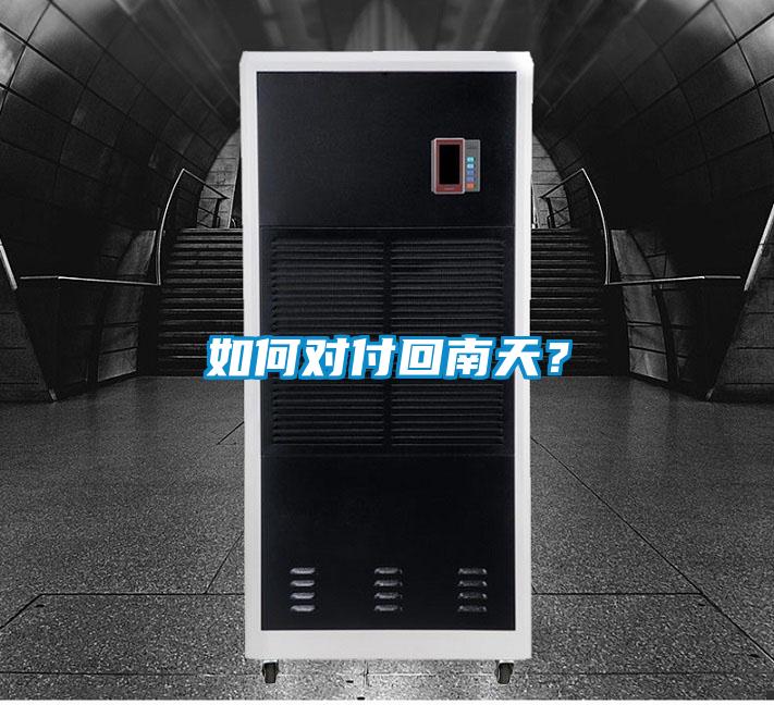 如何對付回南天？