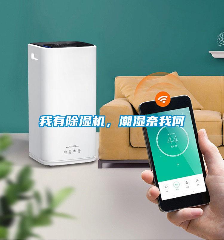 我有除濕機，潮濕奈我何