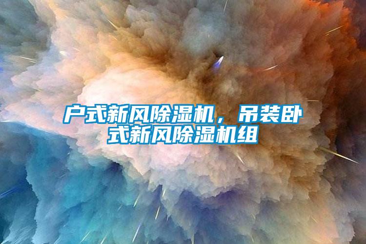 戶式新風除濕機，吊裝臥式新風除濕機組