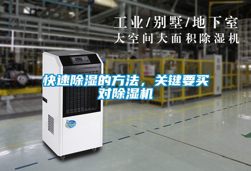 快速除濕的方法，關鍵要買對除濕機