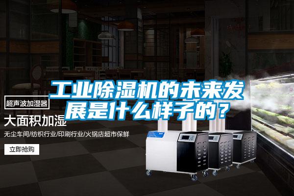 工業除濕機的未來發展是什么樣子的？