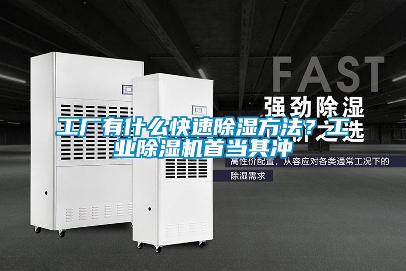 工廠有什么快速除濕方法？工業除濕機首當其沖