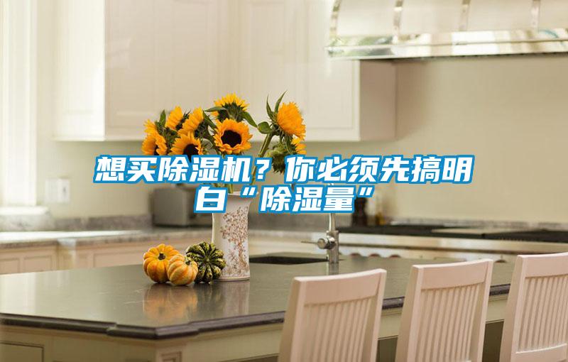 想買除濕機？你必須先搞明白“除濕量”