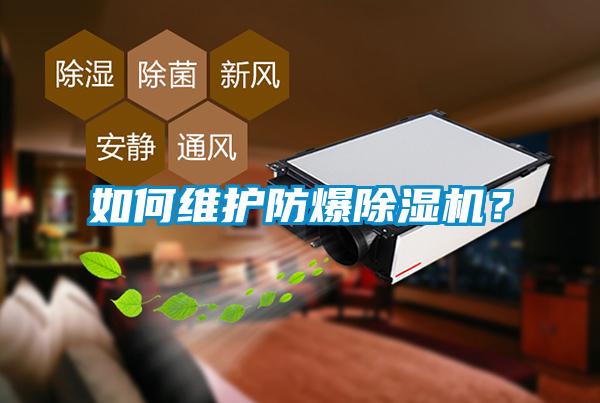 如何維護防爆除濕機？