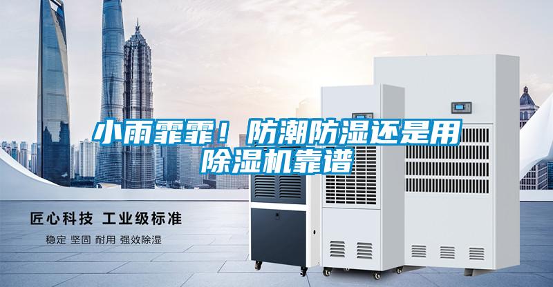 小雨霏霏！防潮防濕還是用除濕機靠譜