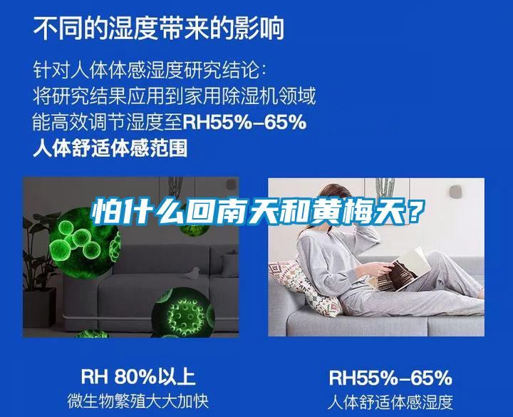 怕什么回南天和黃梅天？