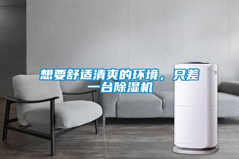 想要舒適清爽的環境，只差一臺除濕機