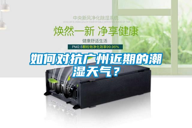 如何對抗廣州近期的潮濕天氣？