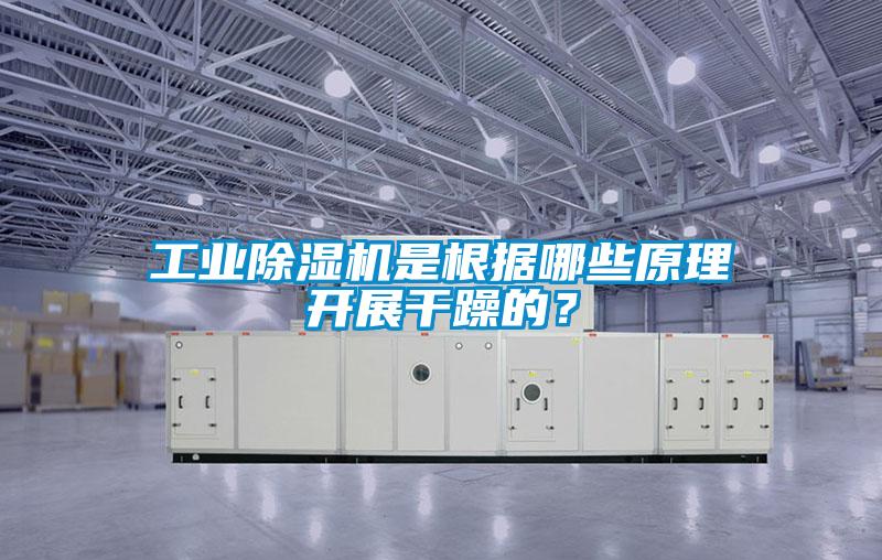 工業除濕機是根據哪些原理開展干躁的？