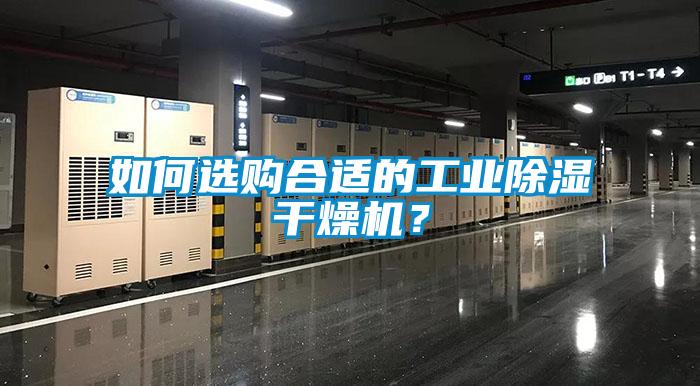 如何選購合適的工業除濕干燥機？