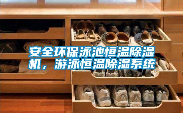 安全環保泳池恒溫除濕機，游泳恒溫除濕系統