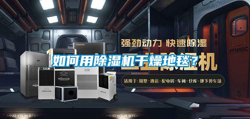 如何用除濕機干燥地毯？