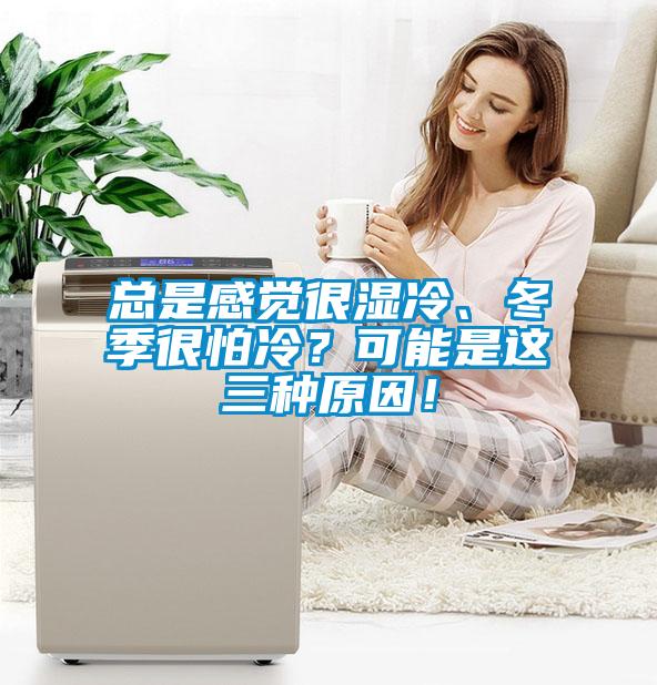 總是感覺很濕冷、冬季很怕冷？可能是這三種原因！