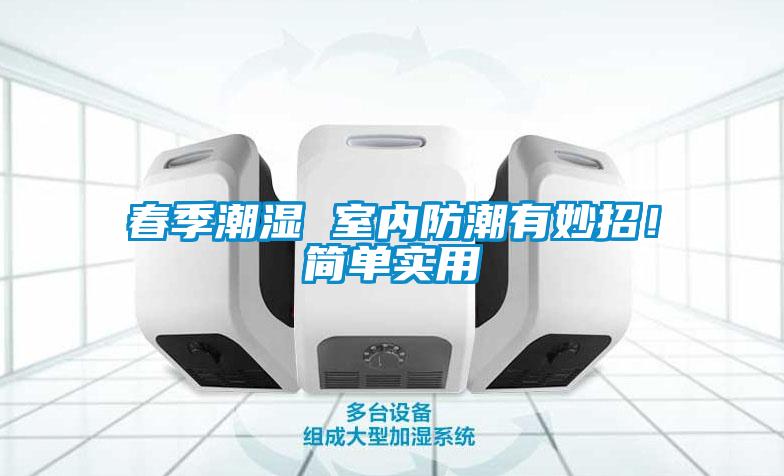 春季潮濕 室內防潮有妙招！簡單實用