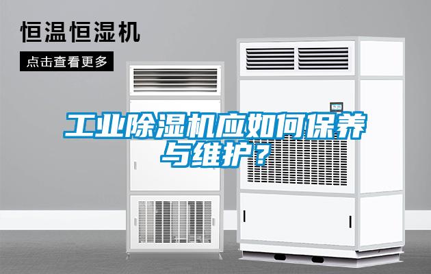 工業除濕機應如何保養與維護？