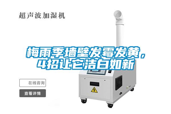 梅雨季墻壁發霉發黃，4招讓它潔白如新
