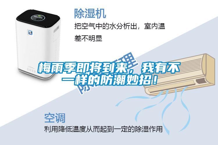 梅雨季即將到來，我有不一樣的防潮妙招！