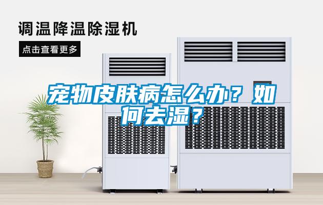 寵物皮膚病怎么辦？如何去濕？