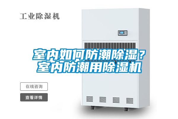 室內如何防潮除濕？室內防潮用除濕機