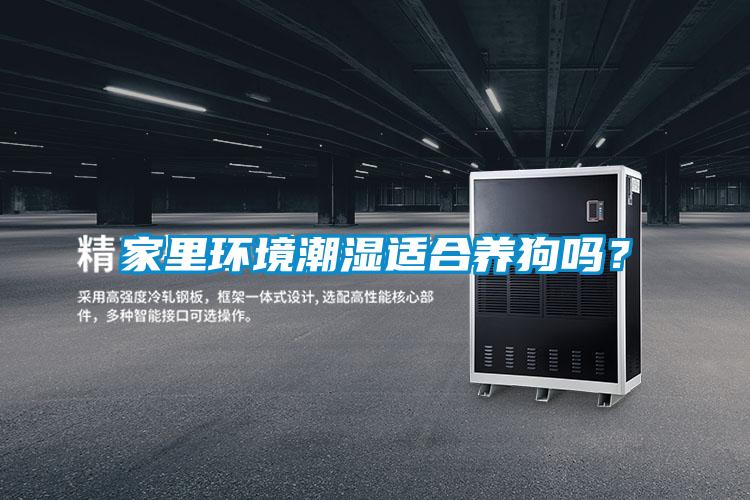 家里環境潮濕適合養狗嗎？