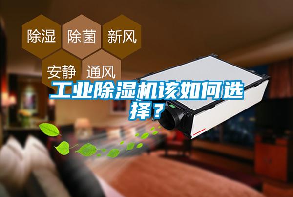 工業除濕機該如何選擇？