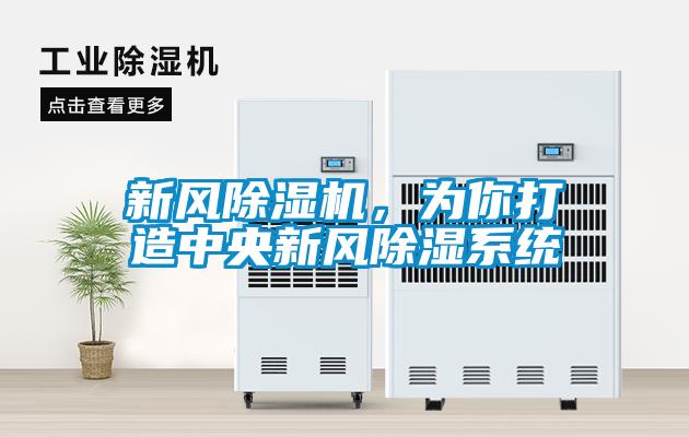 新風除濕機，為你打造中央新風除濕系統