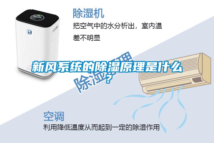 新風系統的除濕原理是什么？