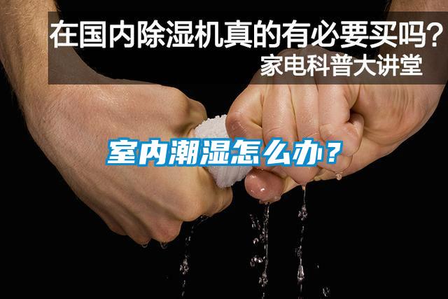 室內潮濕怎么辦？