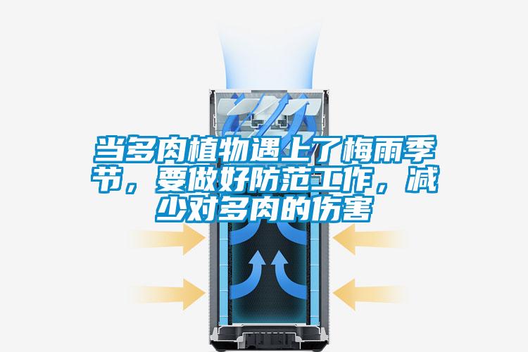 當多肉植物遇上了梅雨季節，要做好防范工作，減少對多肉的傷害