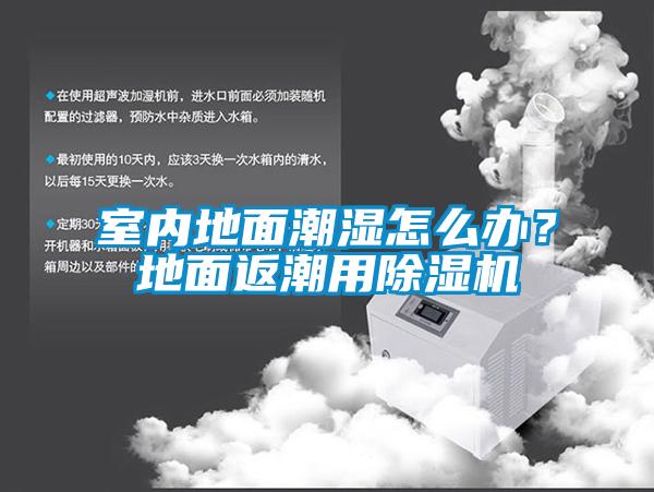 室內地面潮濕怎么辦？地面返潮用除濕機