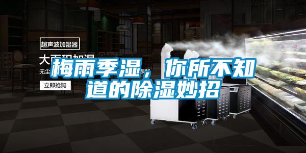 梅雨季濕，你所不知道的除濕妙招